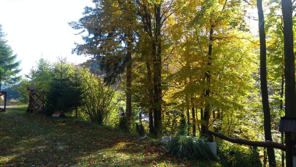 רוז'ומברוק Fatrapark 1 U Sovicky Studio, Kuchynka, Kupelna,S Balkonom Gratis Parkovanie V Podzemnej Garazi מראה חיצוני תמונה